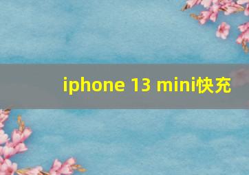 iphone 13 mini快充